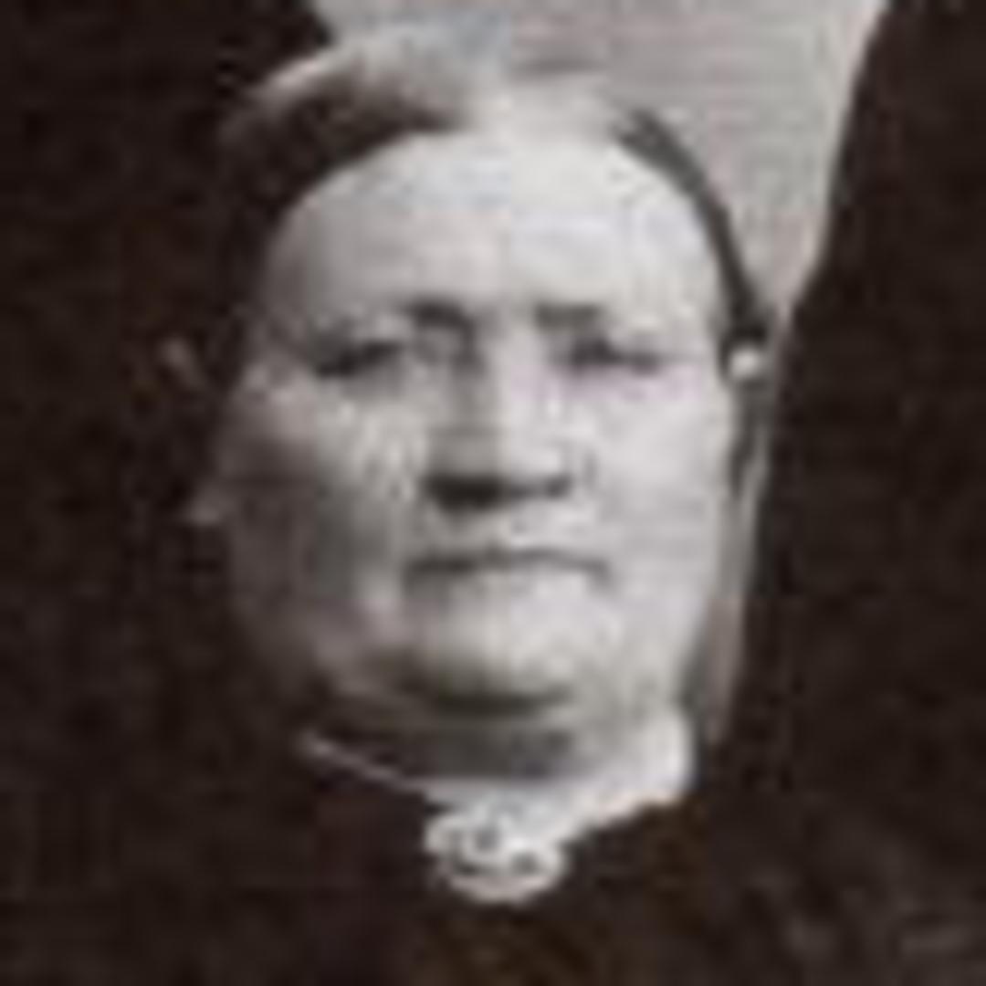 Sarah Edwards (1838 - 1914) Profile